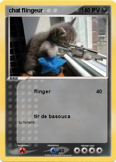 Pokemon chat flingeur