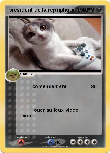 Pokemon president de la repuplique chat