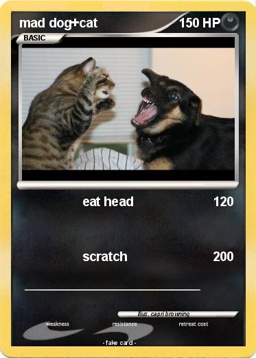 Pokemon mad dog+cat