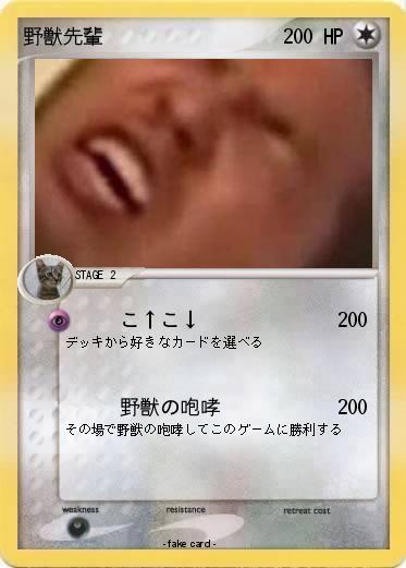 Pokemon 野獣先輩