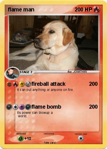 Pokemon flame man
