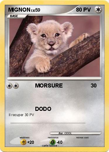 Pokemon MIGNON