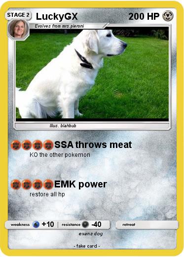 Pokemon LuckyGX