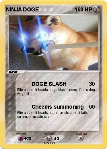Pokemon NINJA DOGE