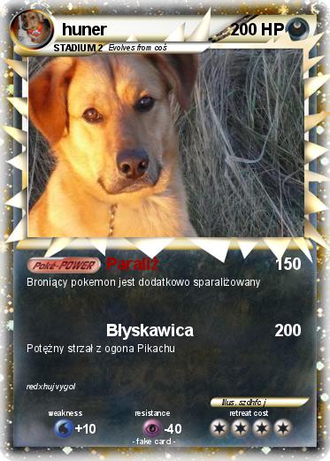 Pokemon huner