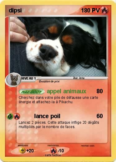 Pokemon dipsi