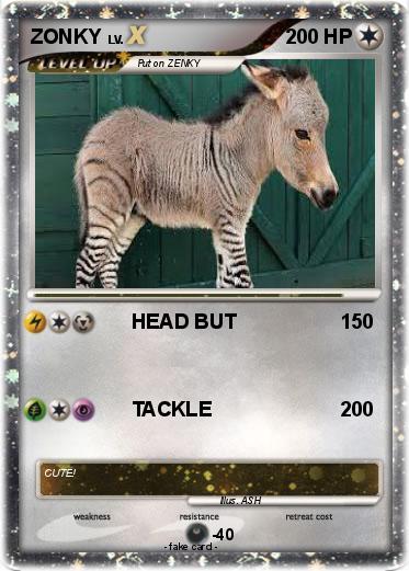 Pokemon ZONKY