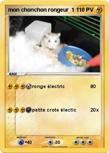 Pokemon mon chonchon rongeur  1