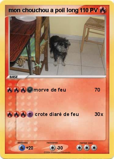 Pokemon mon chouchou a poil long