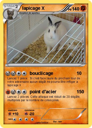 Pokemon lapicage X