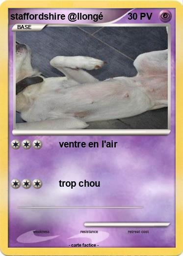 Pokemon staffordshire @llongé