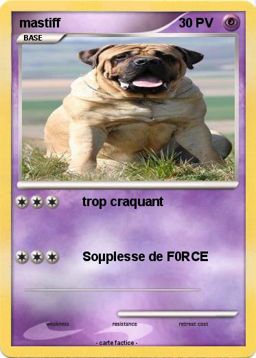 Pokemon mastiff