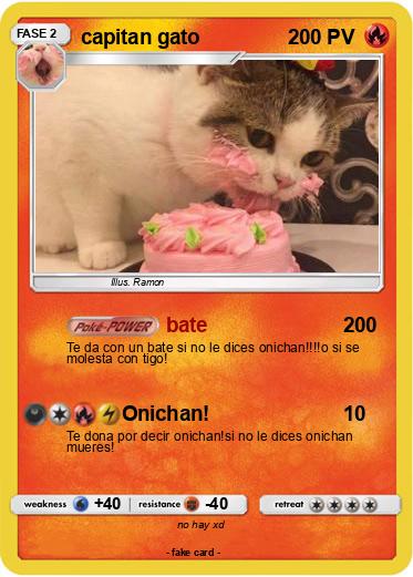 Pokemon capitan gato