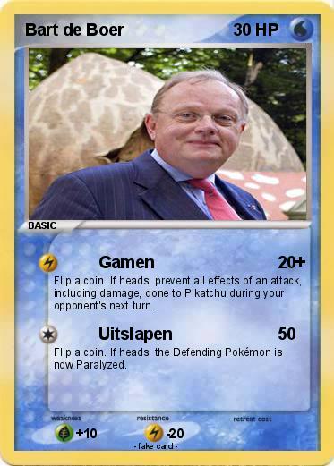 Pokemon Bart de Boer