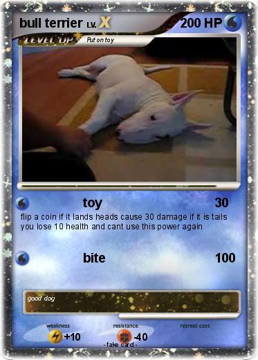 Pokemon bull terrier