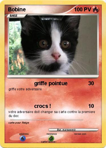 Pokemon Bobine
