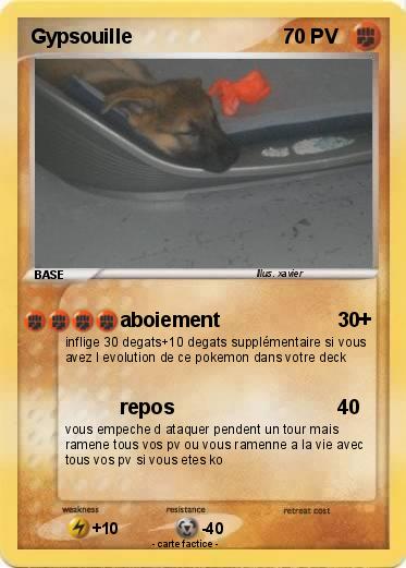 Pokemon Gypsouille