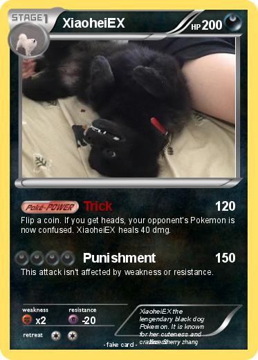 Pokemon XiaoheiEX