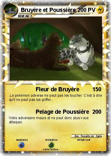 Pokemon Bruyère et Poussière