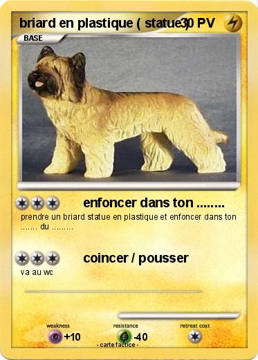 Pokemon briard en plastique ( statue )