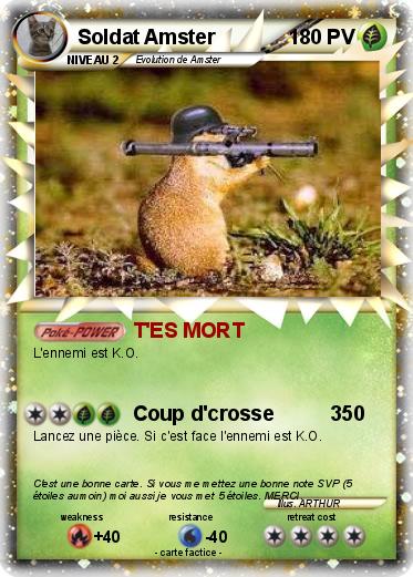 Pokemon Soldat Amster
