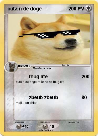 Pokemon putain de doge