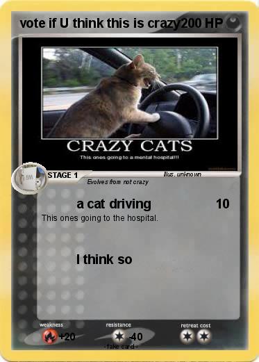 Pokemon vote if U think this is crazy