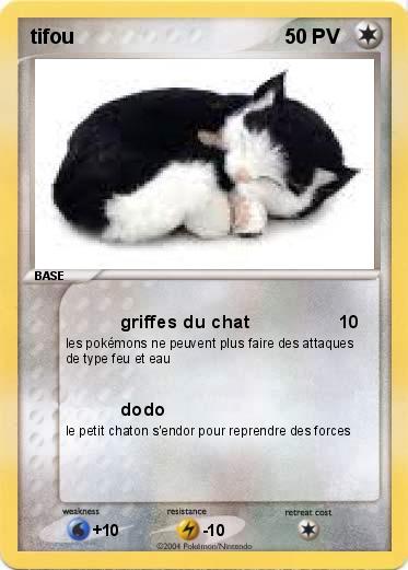 Pokemon tifou 