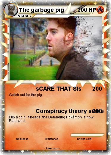 Pokemon The garbage pig