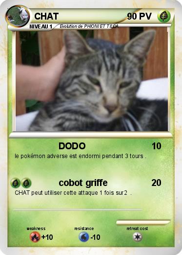 Pokemon CHAT