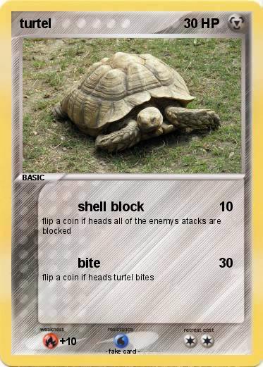 Pokemon turtel
