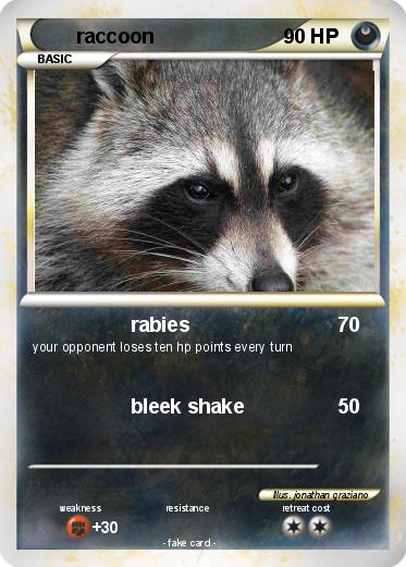 Pokemon raccoon