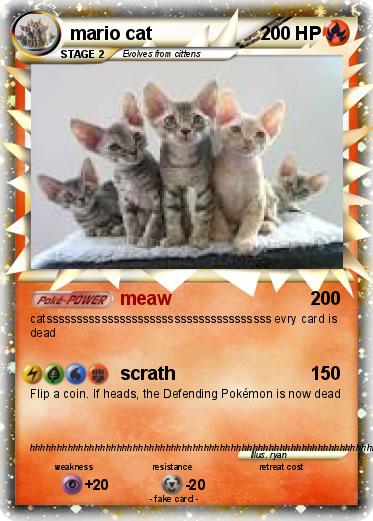 Pokemon mario cat