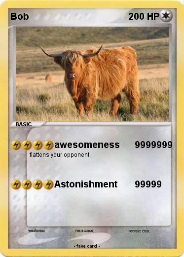 Pokemon Bob