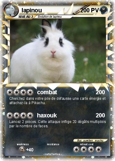 Pokemon lapinou