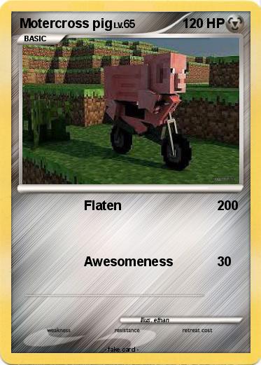 Pokemon Motercross pig
