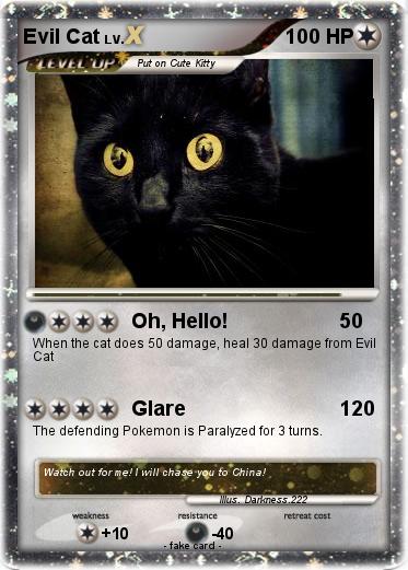 Pokemon Evil Cat
