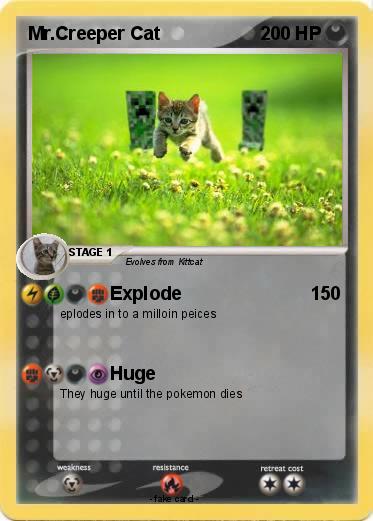 Pokemon Mr.Creeper Cat
