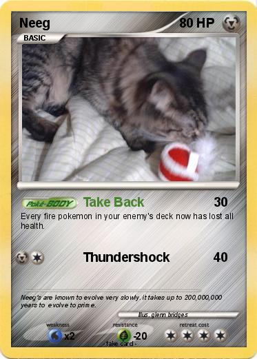 Pokemon Neeg