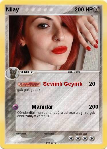 Pokemon Nilay