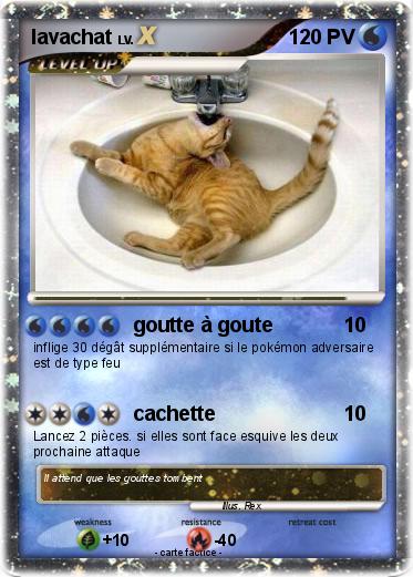 Pokemon lavachat