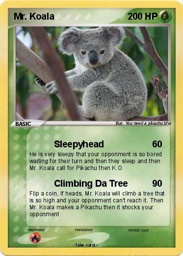 Pokemon Mr. Koala