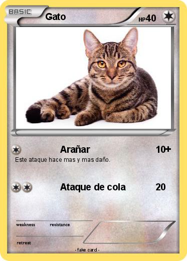 Pokemon Gato