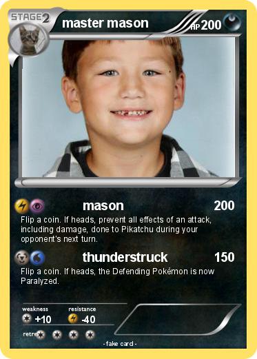 Pokemon master mason