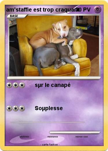 Pokemon am'staffie est trop craquant