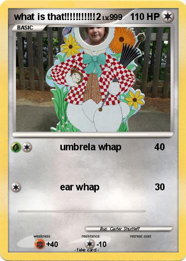 Pokemon what is that!!!!!!!!!!!2