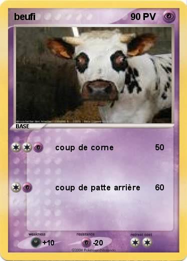 Pokemon beufi