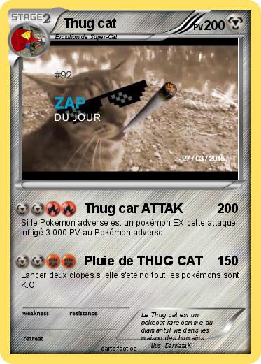 Pokemon Thug cat
