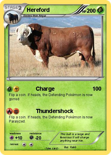 Pokemon Hereford