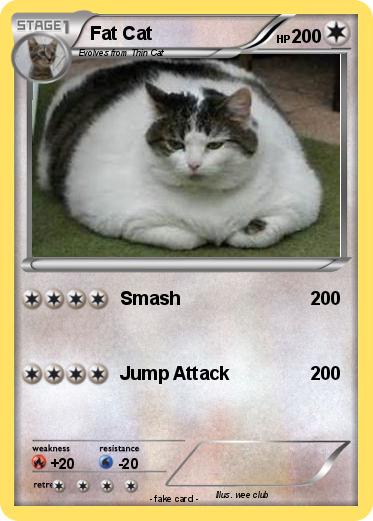 Pokemon Fat Cat